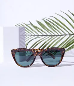 AJ Morgan Eyewear (B2B Wholesale) Tortoise Cat Eye Sunglasses