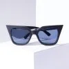 AJ Morgan Eyewear (B2B Wholesale) Matte Black Tinted Cat Eye Sunglasses